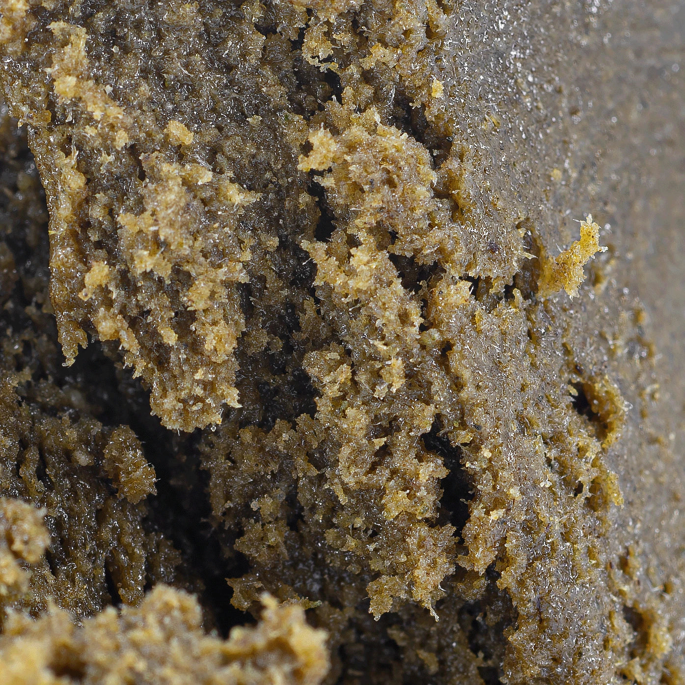 Extracts