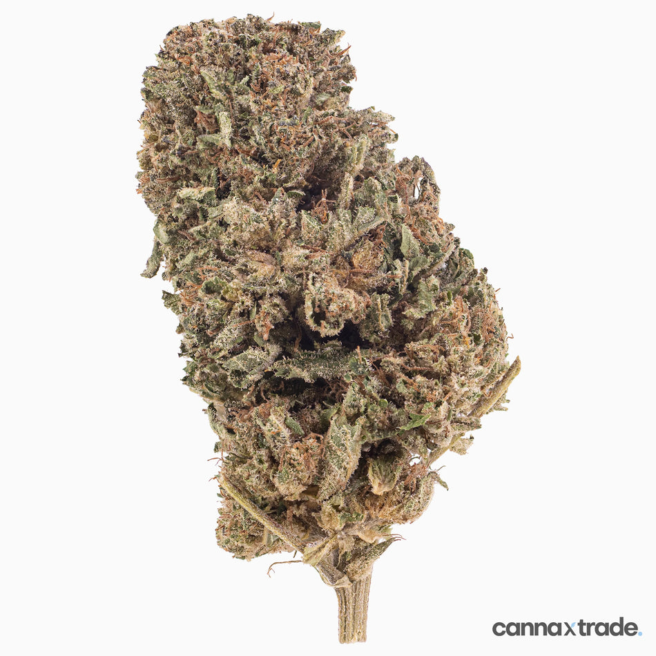 Flower | 'Bubba Kush' | CBD | 100g Sample