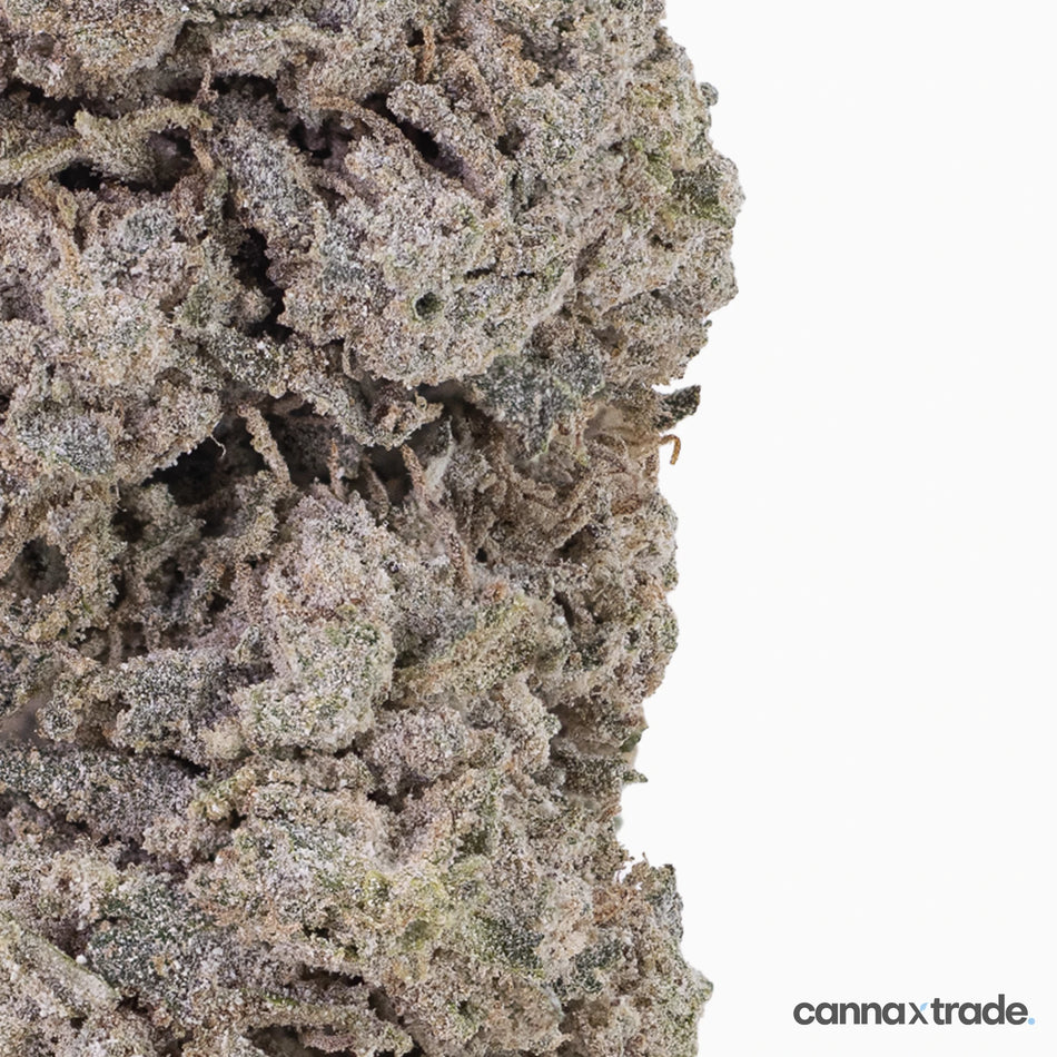 Flower | 'Bubblegum 25' | THCA | Coated | 100g Sample