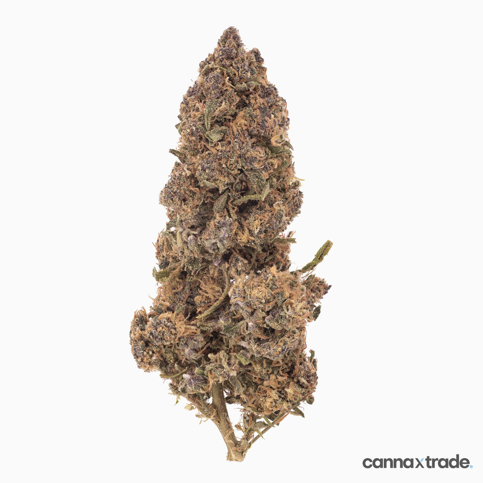 Flower | 'Cheetah Kush' | CBD | 100g Sample