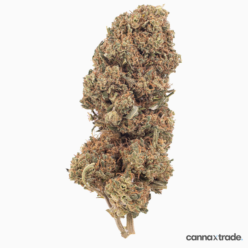 Flower | 'Cherry Kush' | CBD | 100g Sample