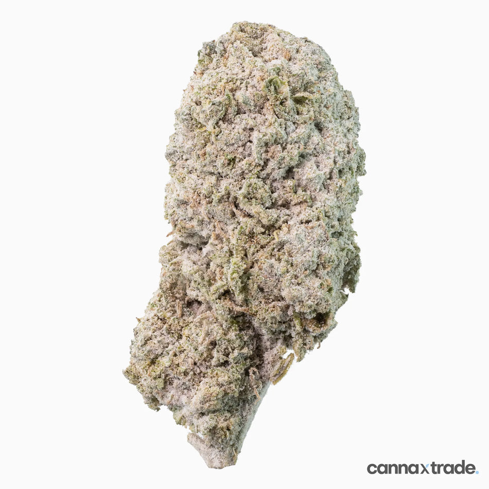 Flower | 'Honey Berry 27' | THCA | Coated | 3g Sample