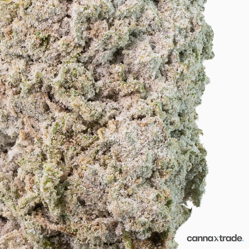 Flower | 'Honey Berry 27' | THCA | Coated | 3g Sample