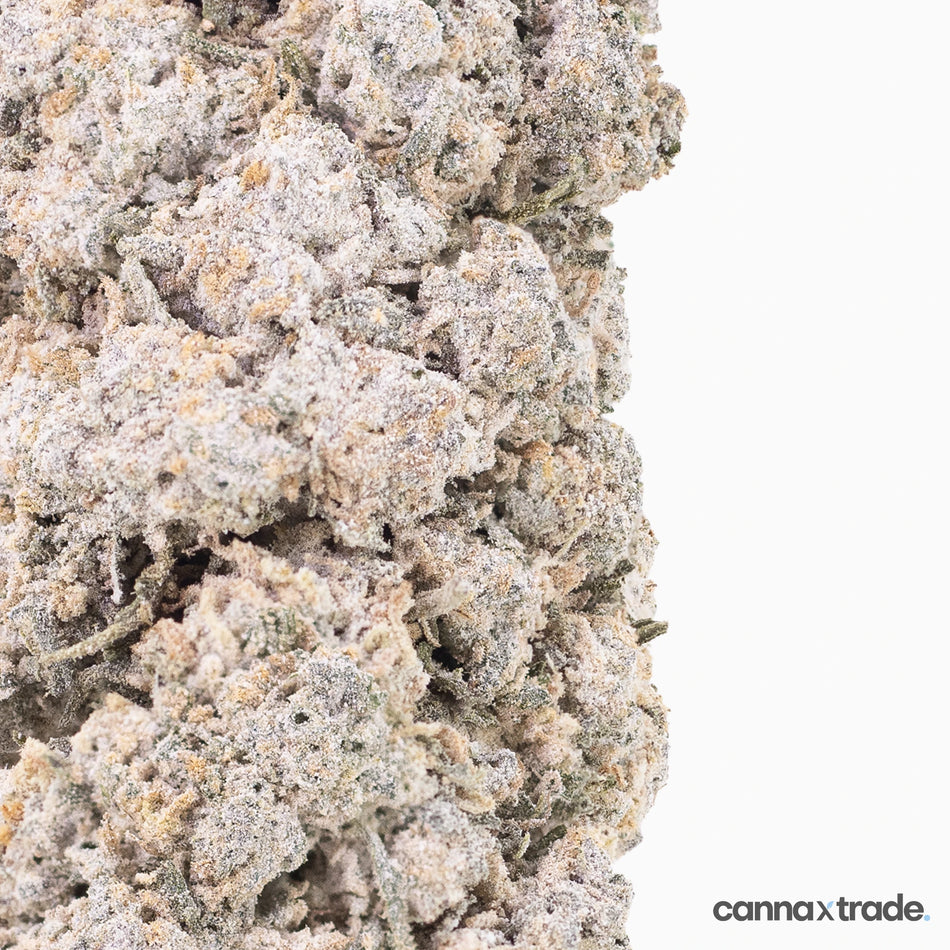 Flower | 'Manderine 25' | THCA | Coated | 100g Sample