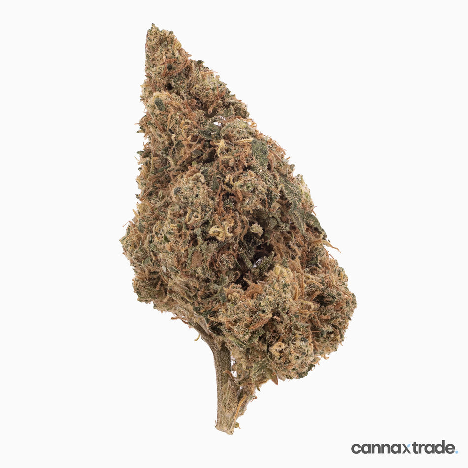 Flower | 'Rainbow Runtz' | CBD | 100g Sample