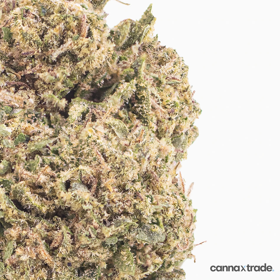 Flower | 'Silver Harmony' | CBD | 100g Sample