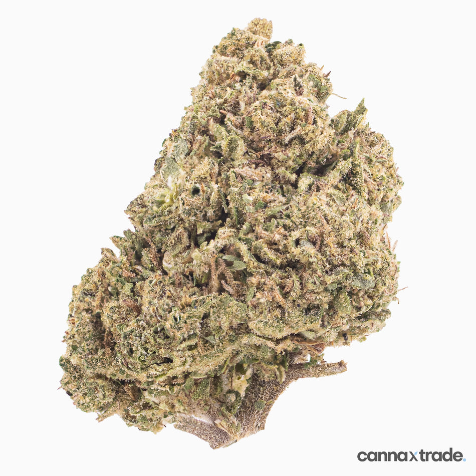 Flower | 'Silver Harmony' | CBD | 100g Sample