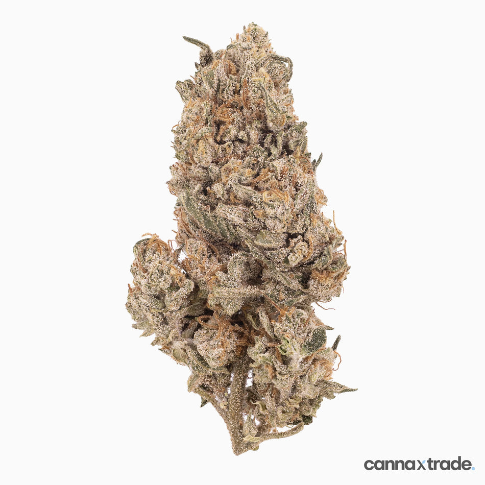 Flower | 'Silver Mist' | CBD | 100g Sample