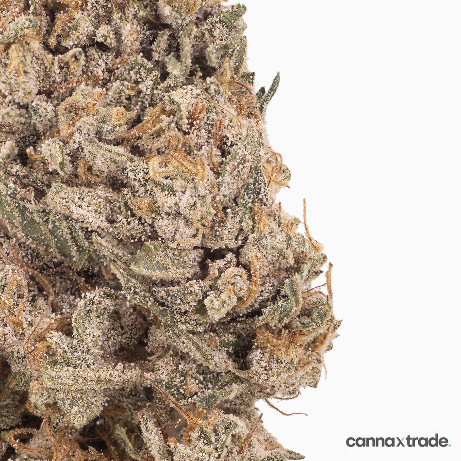 Flower | 'Silver Mist' | CBD | 100g Sample