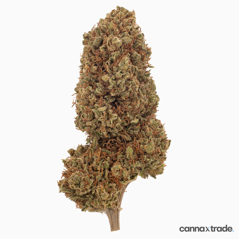 Flower | 'Tangerine' | CBD | 100g Sample