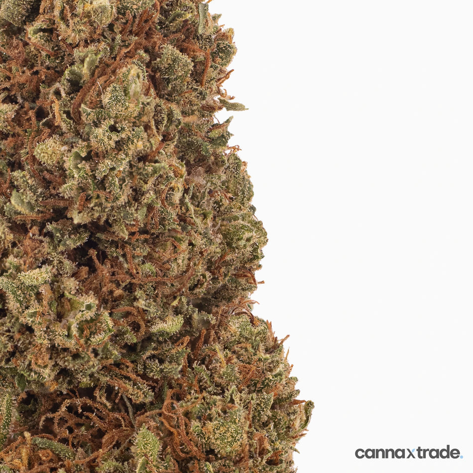 Flower | 'Tangerine' | CBD | 100g Sample