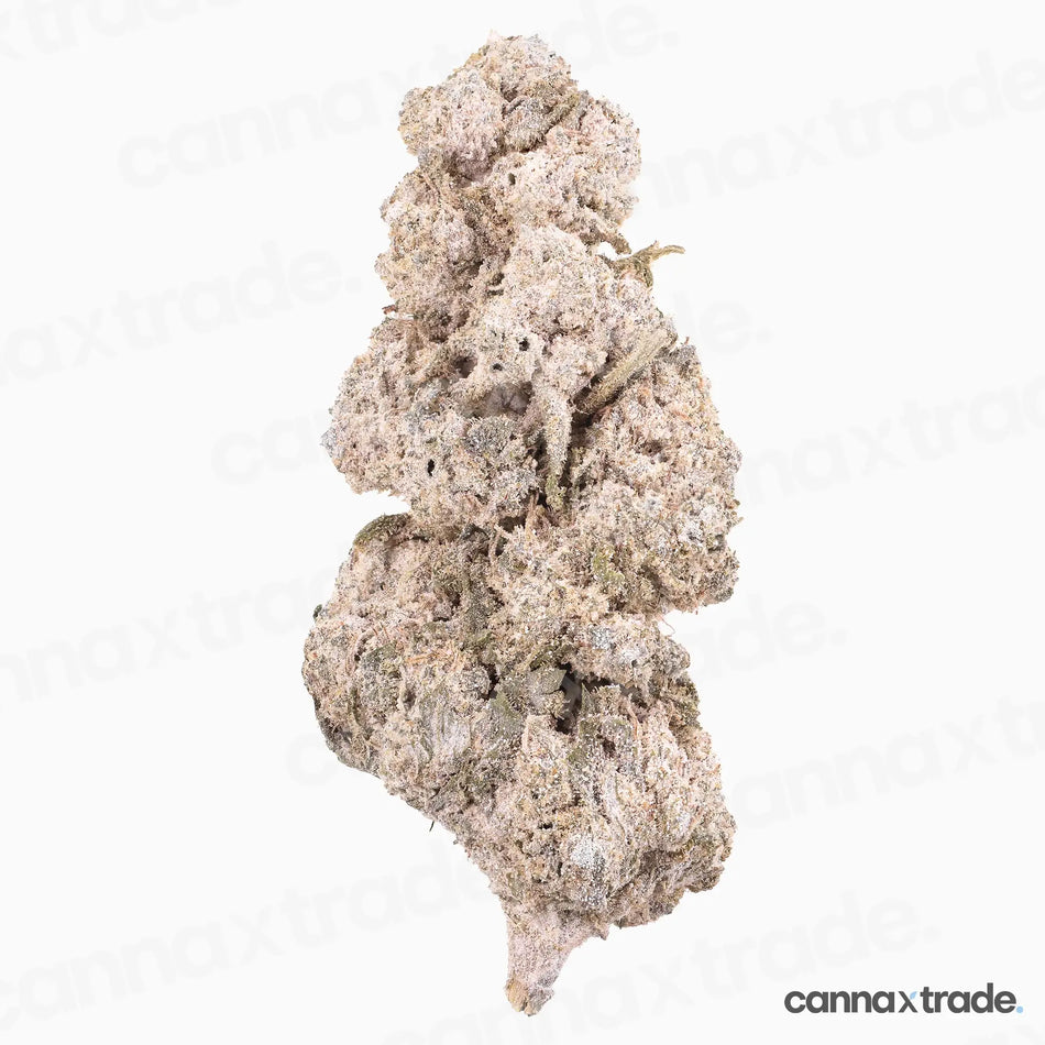 Flower | 'White Cali 23' | THCA | Coated | 3g Sample