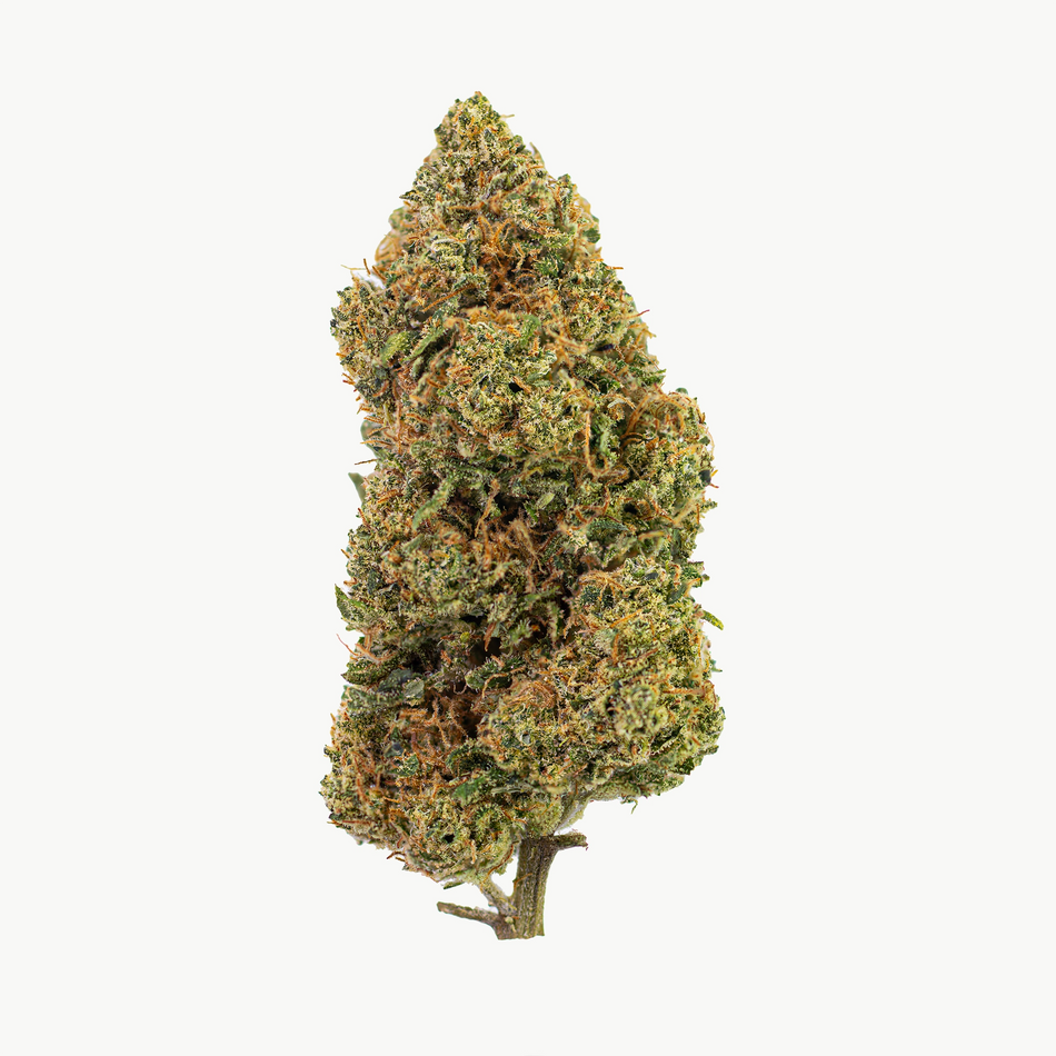 Flower | 'Amnesia Hydroponic' | CBD | Sample