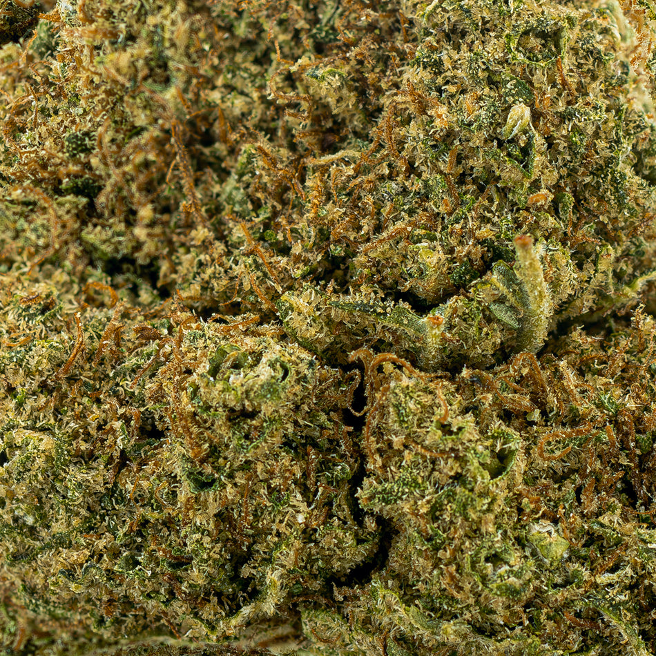 Flower | 'Orange Bud' | CBD | Sample