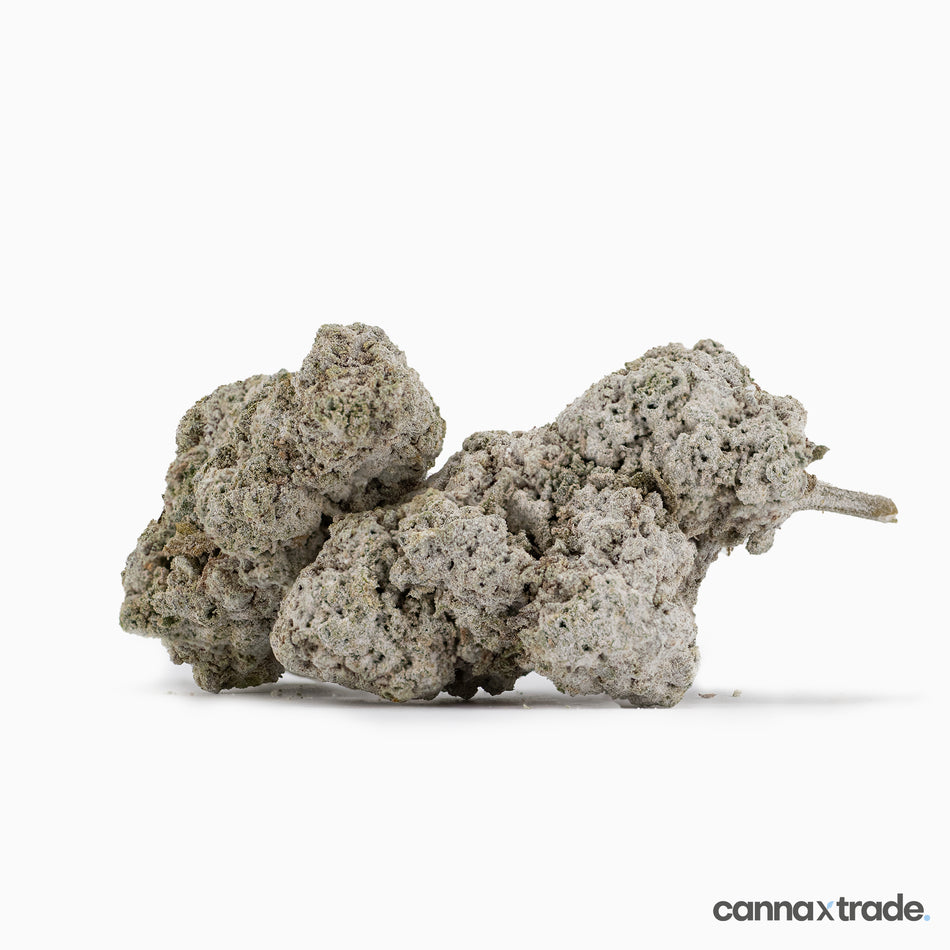 Flower | 'Panther O.G. 23' | THCA | Coated | Sample