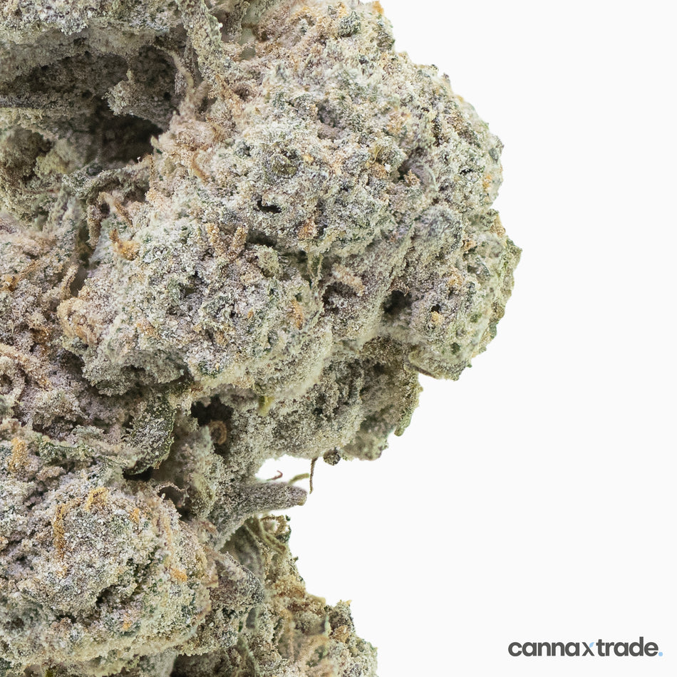 Flower | 'Super Lemon 22' | THCA | Coated | 100g Sample