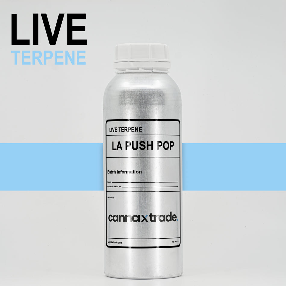 Terpene | 'LA Push Pop' | Live Terpene Extract (LTE) | 25ml Sample